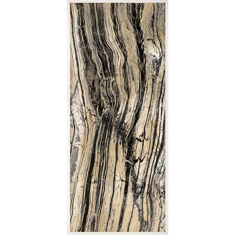 Natural Curiosities Golden Marble Design 2 Framed Artwork 3 Natural Curiosities Golden Marble Design 2 Framed Artwork