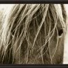 Natural Curiosities New Arrivals Hyden Horses Blonde Framed Artwork 1 Natural Curiosities New Arrivals Hyden Horses Blonde Framed Artwork