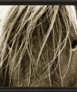 Natural Curiosities New Arrivals Hyden Horses Blonde Framed Artwork