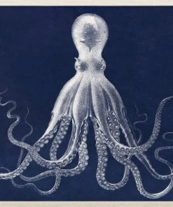 Natural Curiosities Lord Bodner In Blue Framed Artwork New Arrivals