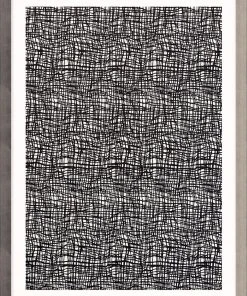 Natural Curiosities Opposites 1 New Arrivals