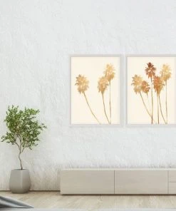 Natural Curiosities Palm Springs Golden Palms