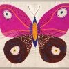 Natural Curiosities New Arrivals Paule Marrot Butterfly Pink Framed Artwork 2 Natural Curiosities New Arrivals Paule Marrot Butterfly Pink Framed Artwork