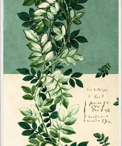 Natural Curiosities New Arrivals Pignier Trellis Framed Artwork