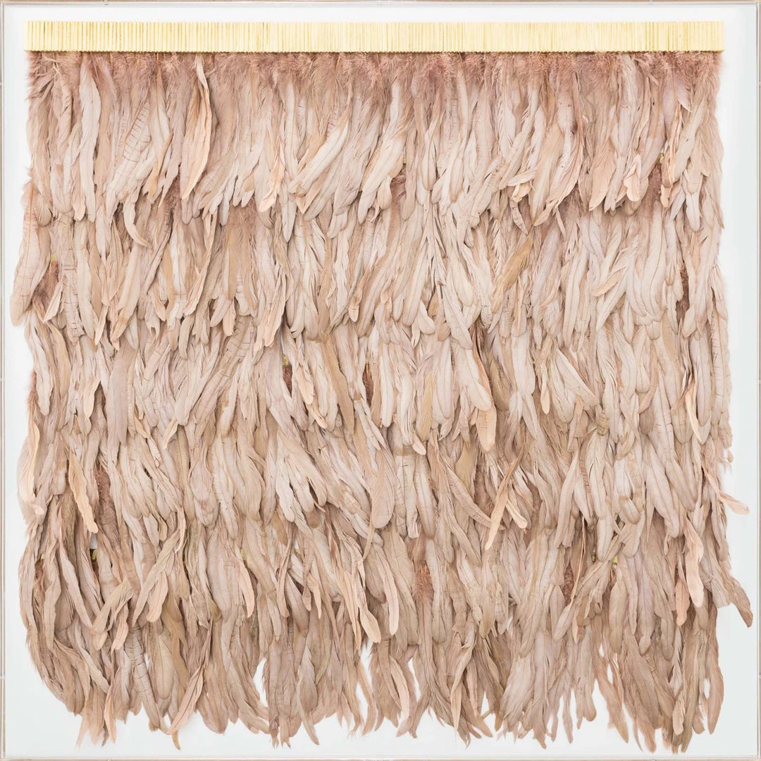 Natural Curiosities Rose Feathers Framed Artwork 3 Natural Curiosities Rose Feathers Framed Artwork