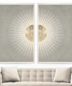 Natural Curiosities Solaris 2 Framed Artwork