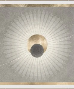 Natural Curiosities Solaris 4 Framed Artwork