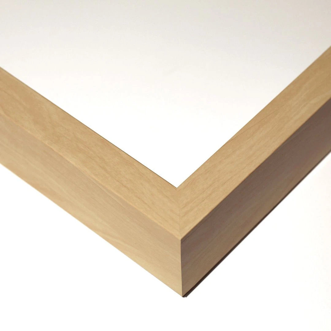 Natural Curiosities Tree Rings 1 5 Natural Curiosities Tree Rings 1