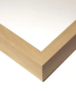 Natural Curiosities New Arrivals Tree Rings 2 9 Natural Curiosities New Arrivals Tree Rings 2