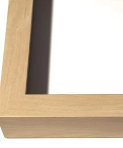 Natural Curiosities Tree Rings 1 9 Natural Curiosities Tree Rings 1