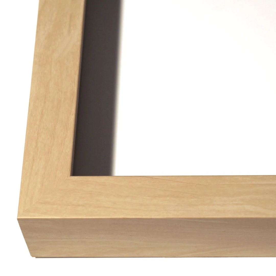 Natural Curiosities Tree Rings 1 6 Natural Curiosities Tree Rings 1