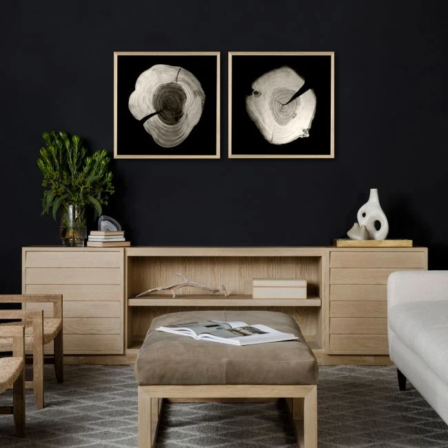 Natural Curiosities Tree Rings 1 4 Natural Curiosities Tree Rings 1