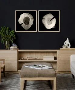 Natural Curiosities New Arrivals Tree Rings 2