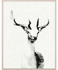 Natural Curiosities New Arrivals Tylinek Deer Framed Artwork