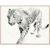 Natural Curiosities New Arrivals Tylinek Leopard Framed Artwork 2 Natural Curiosities New Arrivals Tylinek Leopard Framed Artwork