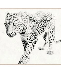 Natural Curiosities New Arrivals Tylinek Leopard Framed Artwork