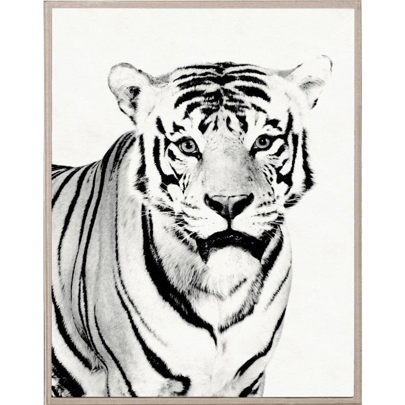 Natural Curiosities Tylinek Tiger Framed Artwork New Arrivals 3 Natural Curiosities Tylinek Tiger Framed Artwork New Arrivals