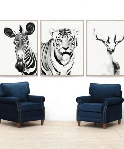 Natural Curiosities Tylinek Tiger Framed Artwork New Arrivals 7 Natural Curiosities Tylinek Tiger Framed Artwork New Arrivals