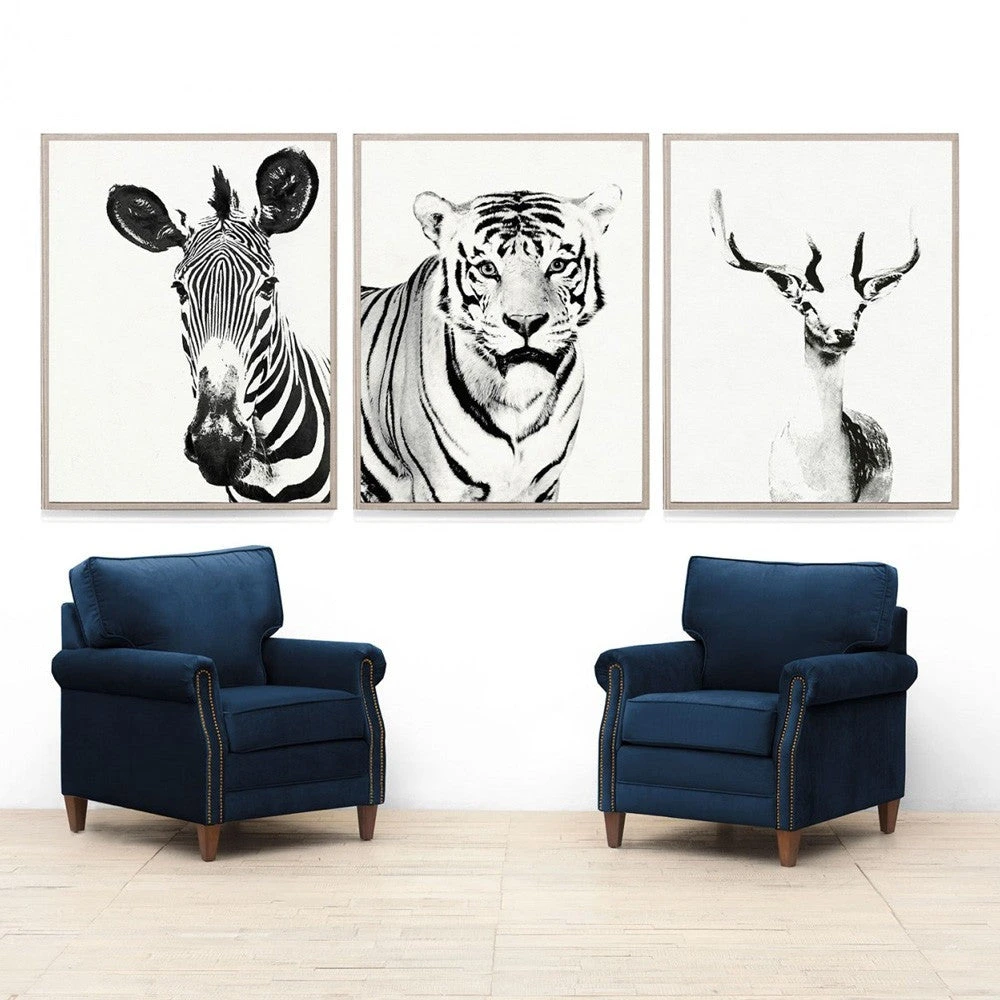 Natural Curiosities Tylinek Tiger Framed Artwork New Arrivals 5 Natural Curiosities Tylinek Tiger Framed Artwork New Arrivals