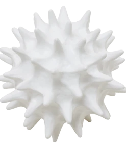 Oly Studio Copernicus Ornament