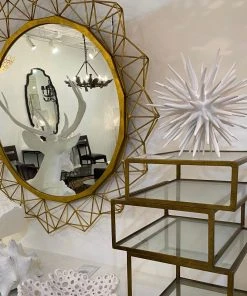 Oly Studio New Arrivals Sea Urchin 10 Oly Studio New Arrivals Sea Urchin