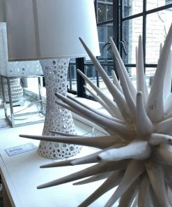 Oly Studio New Arrivals Sea Urchin