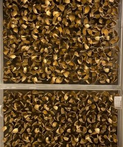 Palecek Adrift Coco Wall Decor Antique Gold 10 Palecek Adrift Coco Wall Decor Antique Gold