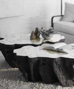 Palecek Chloe Fossil Clam Lava Coffee Table New Arrivals 16 Palecek Chloe Fossil Clam Lava Coffee Table New Arrivals