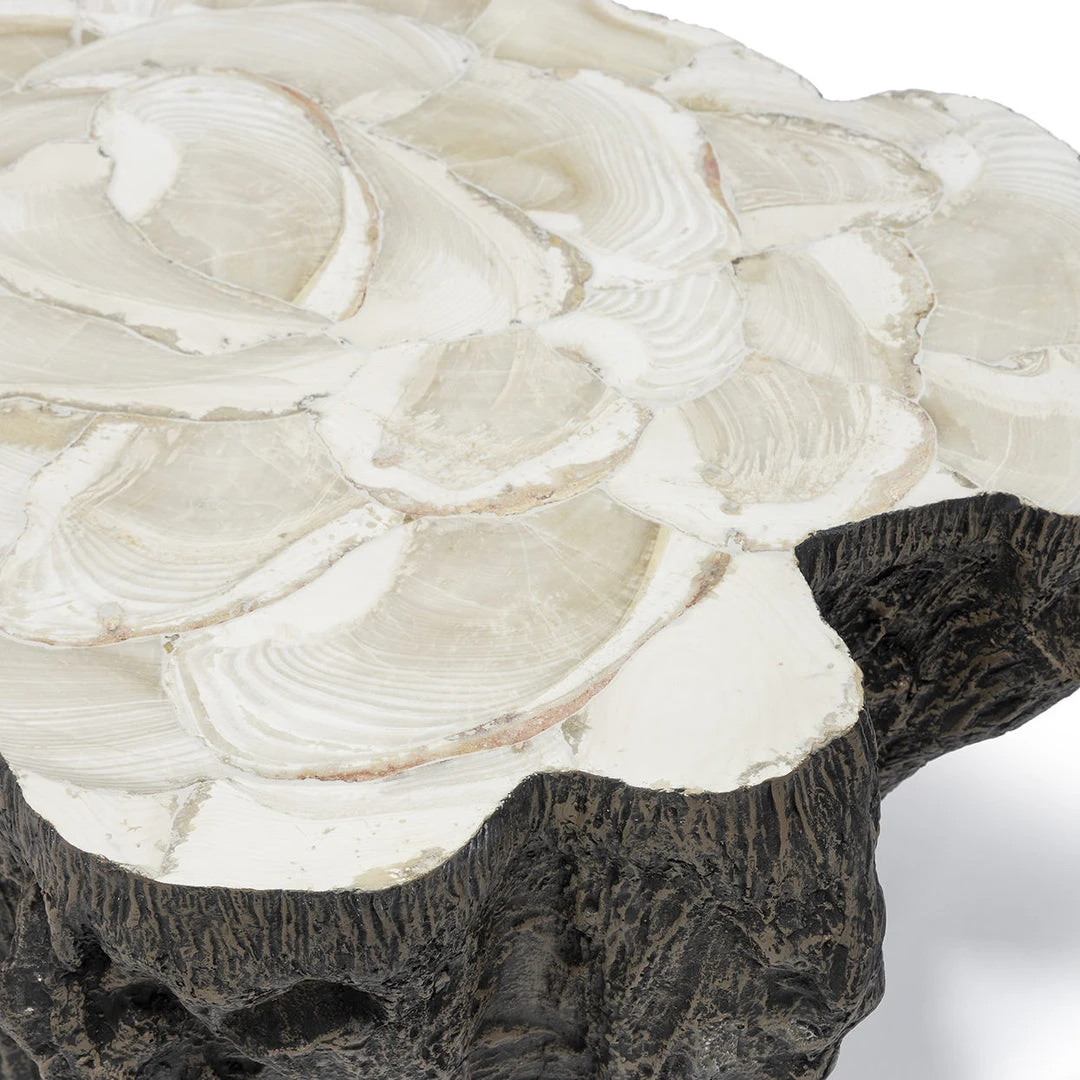 Palecek Chloe Fossil Clam Lava Coffee Table New Arrivals 6 Palecek Chloe Fossil Clam Lava Coffee Table New Arrivals