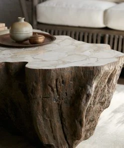 Palecek Chloe Fossil Clam Lava Coffee Table New Arrivals 13 Palecek Chloe Fossil Clam Lava Coffee Table New Arrivals