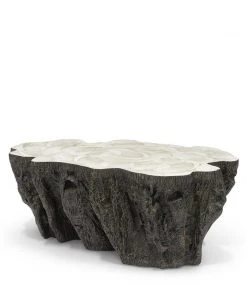Palecek Chloe Fossil Clam Lava Coffee Table New Arrivals