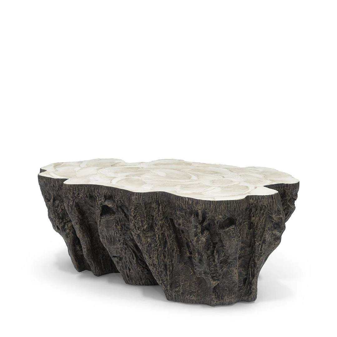Palecek Chloe Fossil Clam Lava Coffee Table New Arrivals 3 Palecek Chloe Fossil Clam Lava Coffee Table New Arrivals