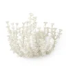 Palecek New Arrivals Seychelles Coco Sconce 1 Palecek New Arrivals Seychelles Coco Sconce