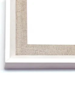 Natural Curiosities Palm Springs Golden Palms 9 Natural Curiosities Palm Springs Golden Palms