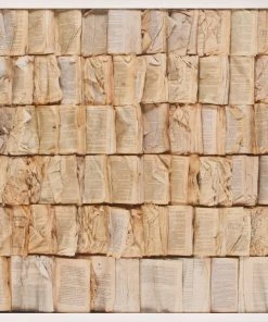 Natural Curiosities Cooking The Books Artwork White Shadow Box New Arrivals