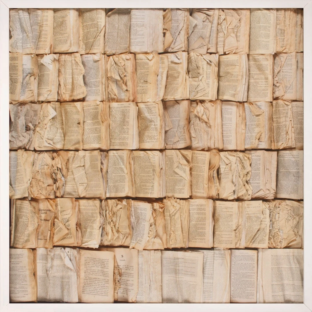 Natural Curiosities Cooking The Books Artwork White Shadow Box New Arrivals 3 Natural Curiosities Cooking The Books Artwork White Shadow Box New Arrivals