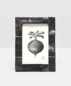 Pigeon And Poodle Lesina Frame Black Pen Shell