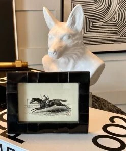 Pigeon And Poodle Lesina Frame Black Pen Shell