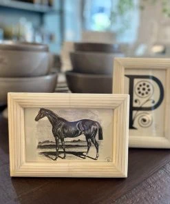 Pigeon And Poodle Velden Frame Natural Bone