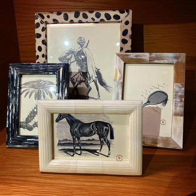 Pigeon And Poodle Winslow Frame Dark Mix Horn 4 Pigeon And Poodle Winslow Frame Dark Mix Horn