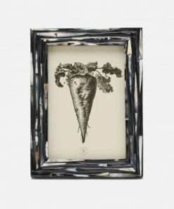 Pigeon And Poodle Winslow Frame Dark Mix Horn