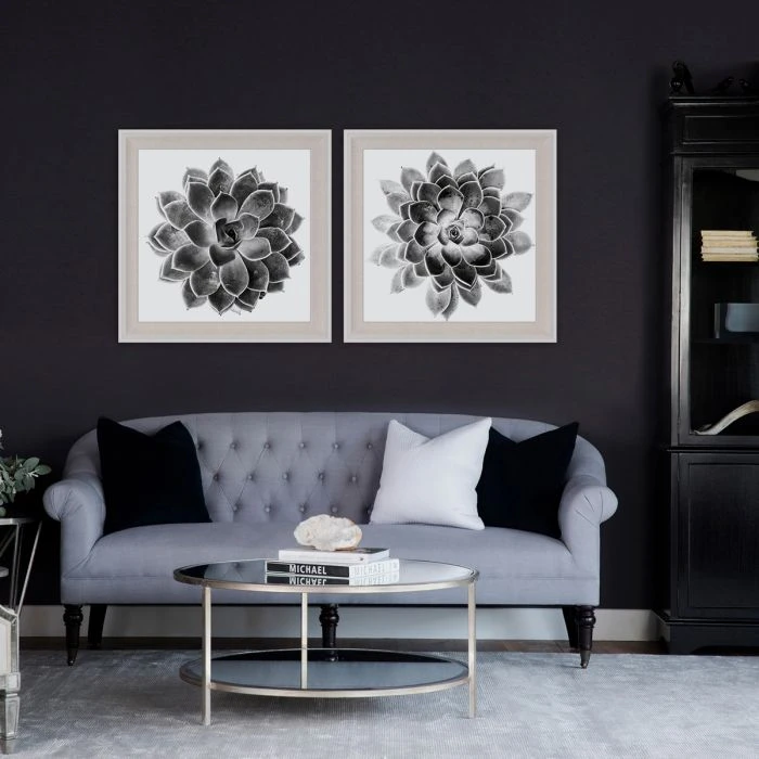 Natural Curiosities Black And White Succulent 2 Framed Artwork 4 Natural Curiosities Black And White Succulent 2 Framed Artwork